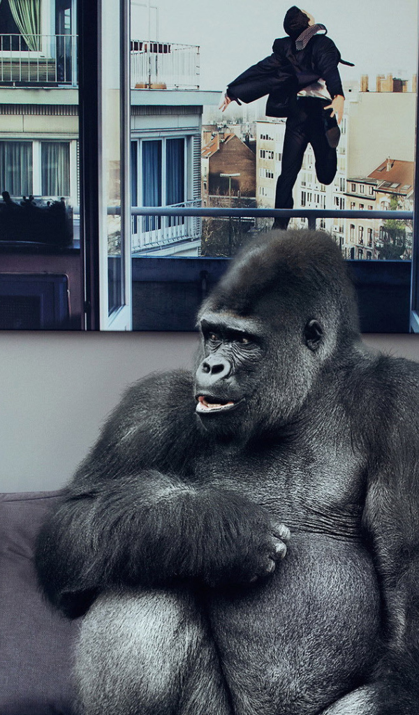 Обезьяна хочет банан