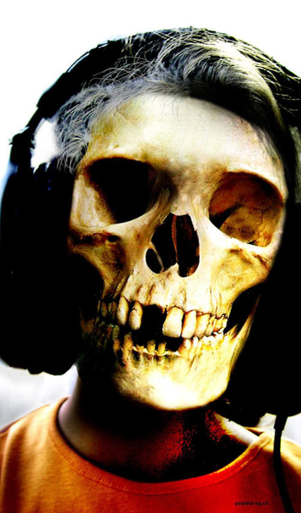 Череп в наушниках