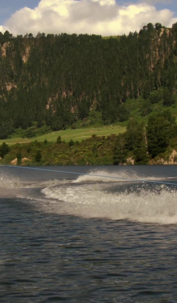 Медведь из мультфильма