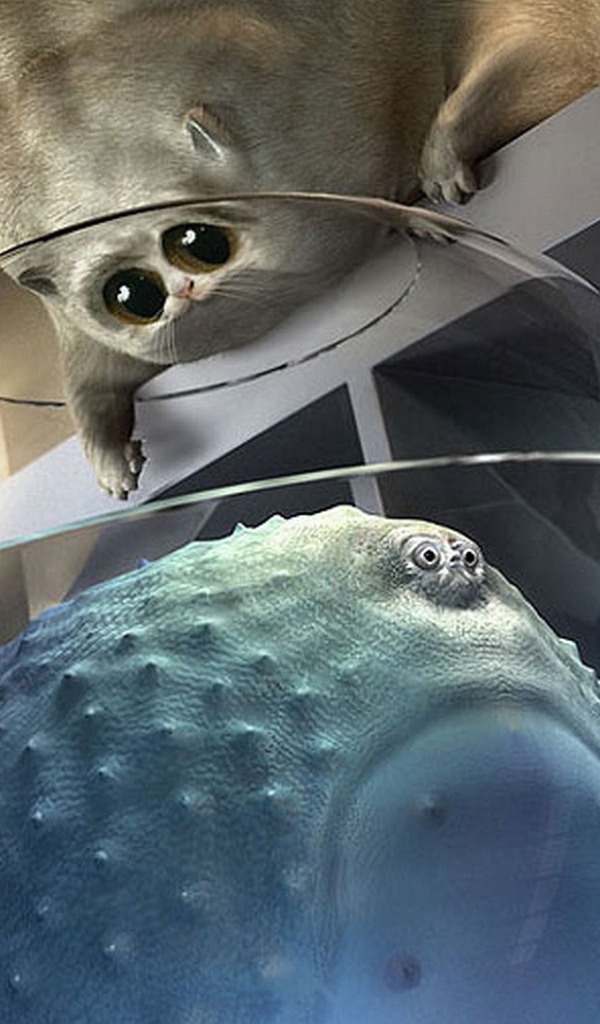 Толстый кот и толстая рыба