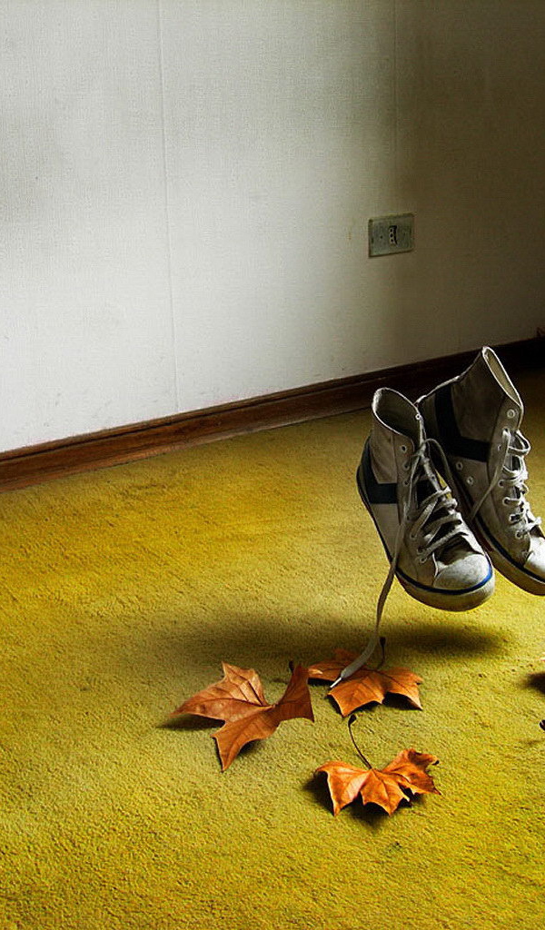 Летающие кеды