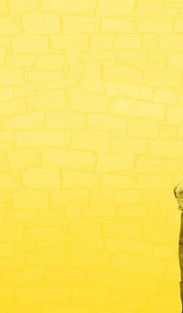 Конь в пальто