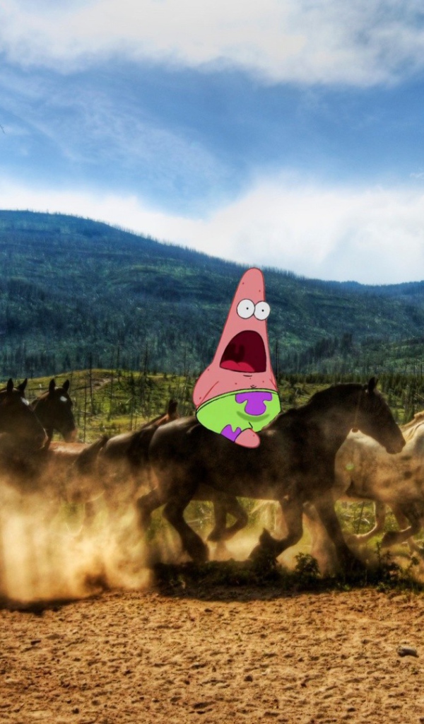 Патрик на лошадях