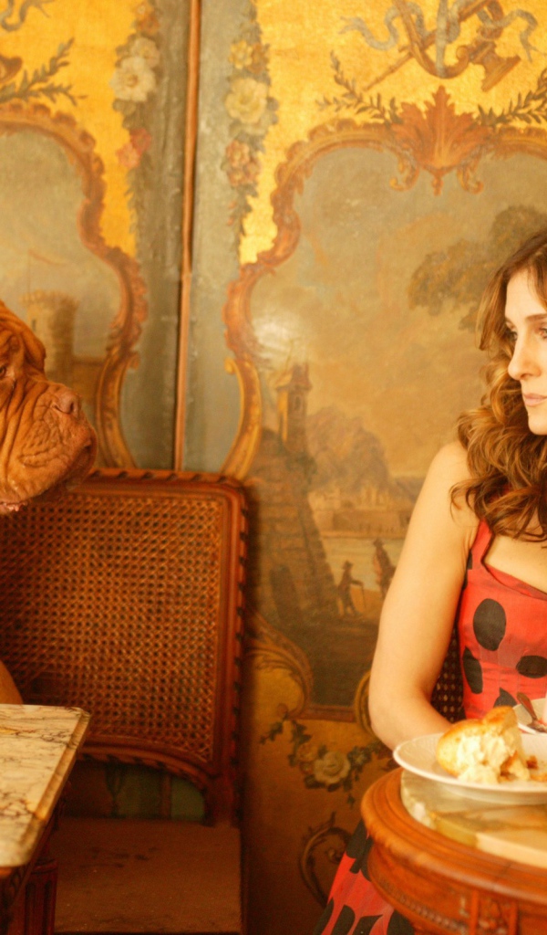 Собака просит еще еды