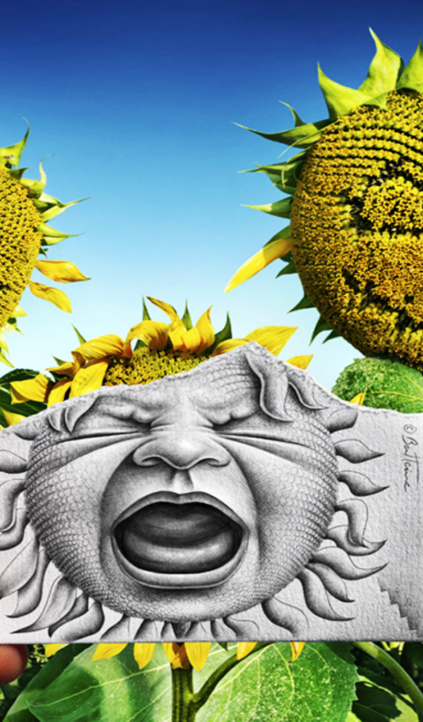 Лицо на подсолнухе