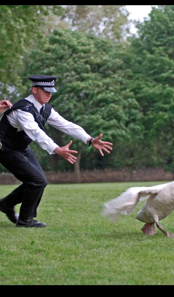 Полиция ловит гуся