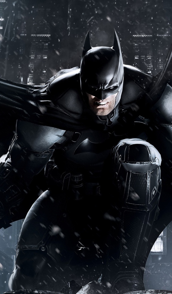 2013 Batman Arkham происхождение