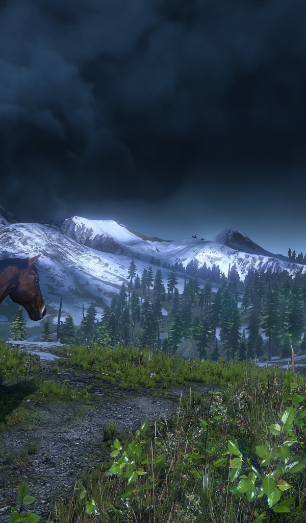 Герой на коне из игры Ведьмак