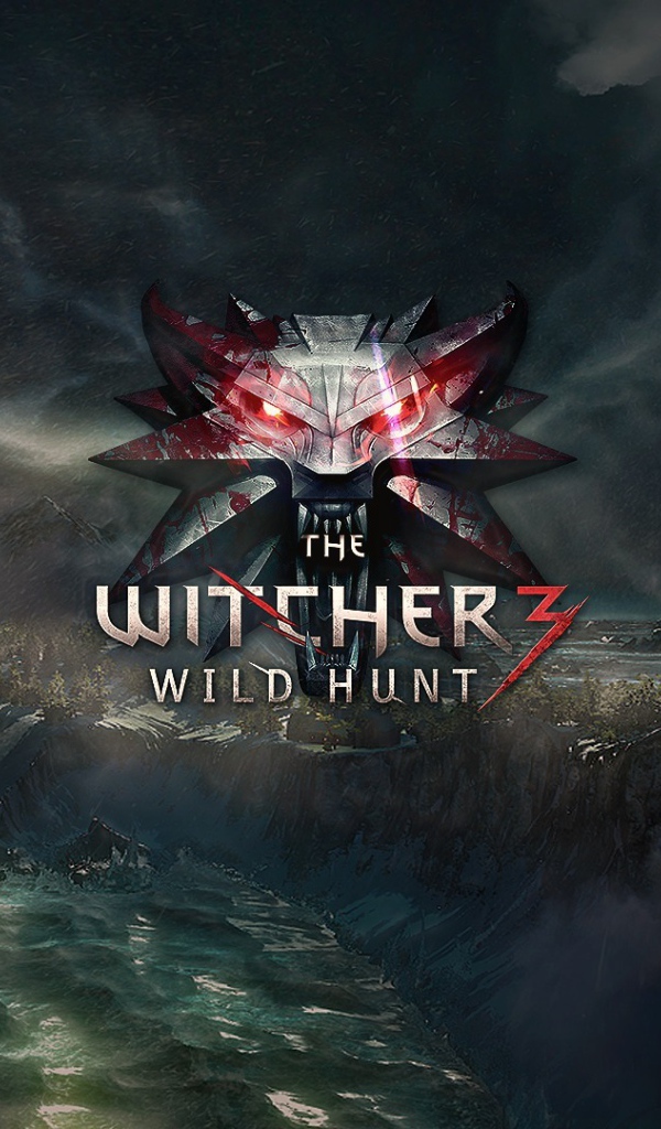 Poster Witcher 3