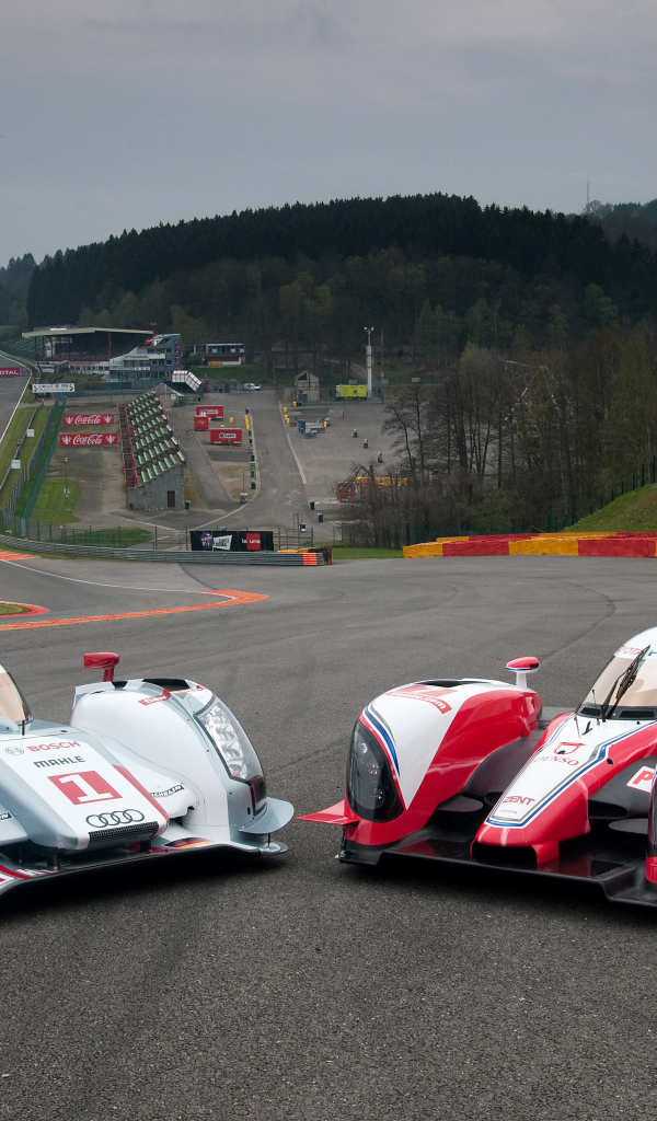 Гонки 24 часа