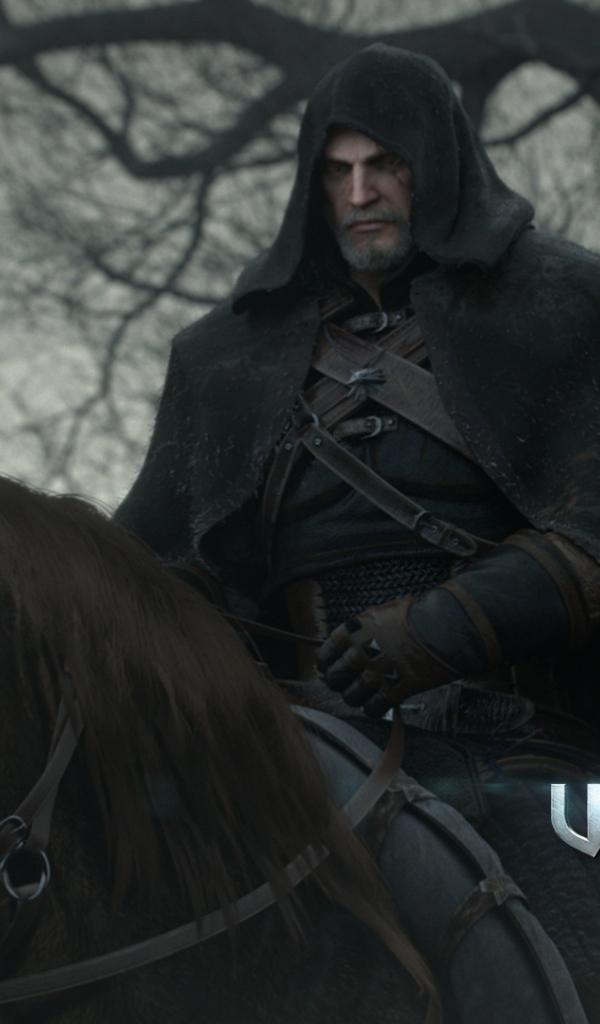 Всадник из игры Ведьмак