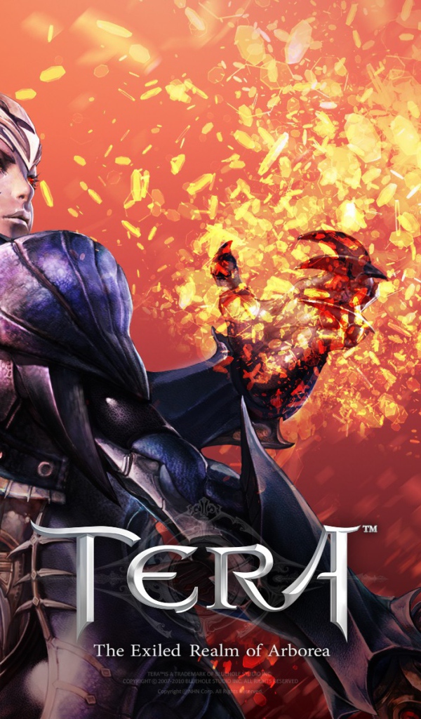 Воин из видео игры Тера