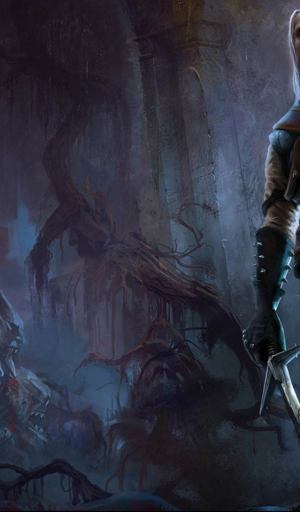 Видео игра Ведьмак