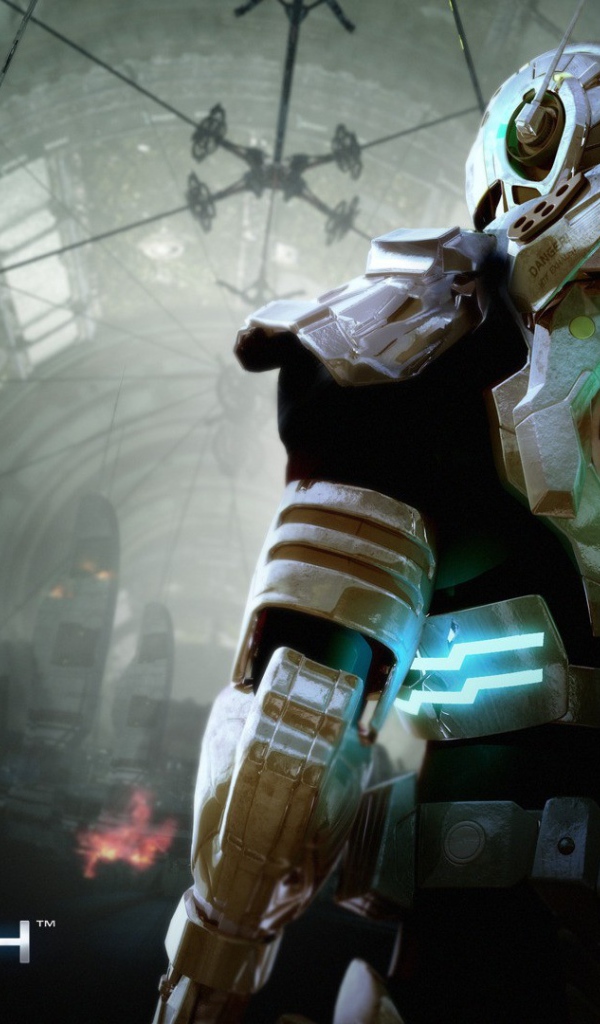 Видео игра Вангуиш