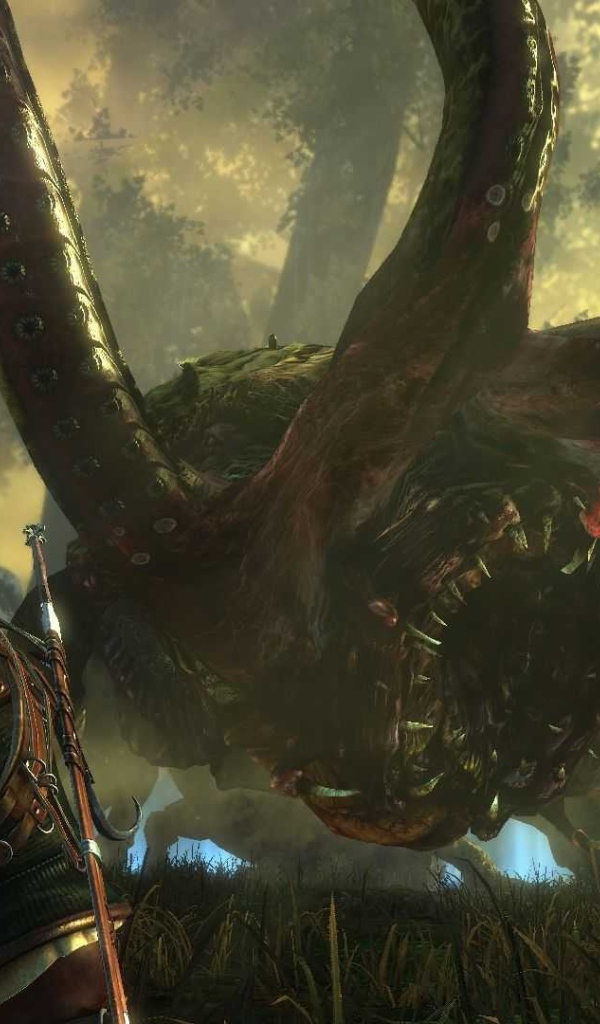 Лесной зверь в игре Ведьмак