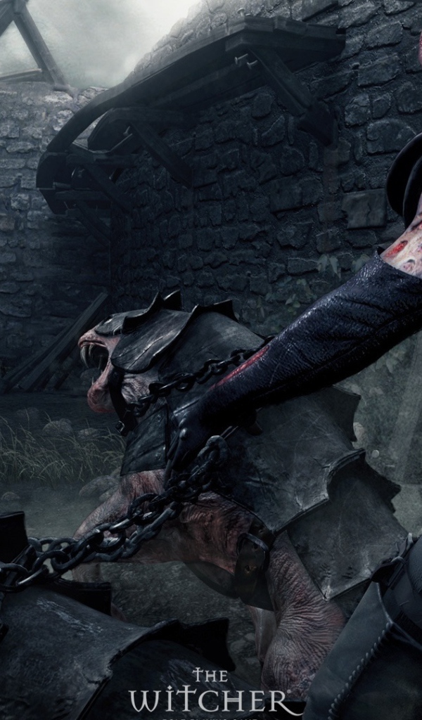 Дикие звери из игры Ведьмак