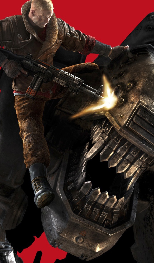 Игра 2014 года Wolfenstein the new order