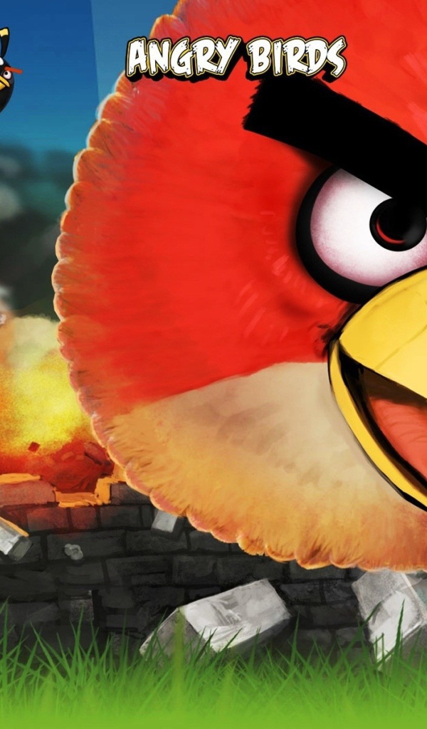 Энгри бирдс