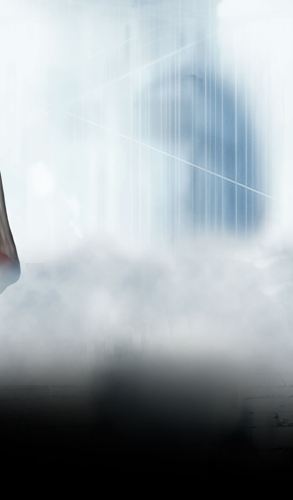 Assassing Creed 2 видео игра