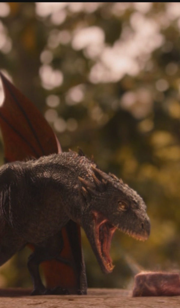 Дракон из видео игры