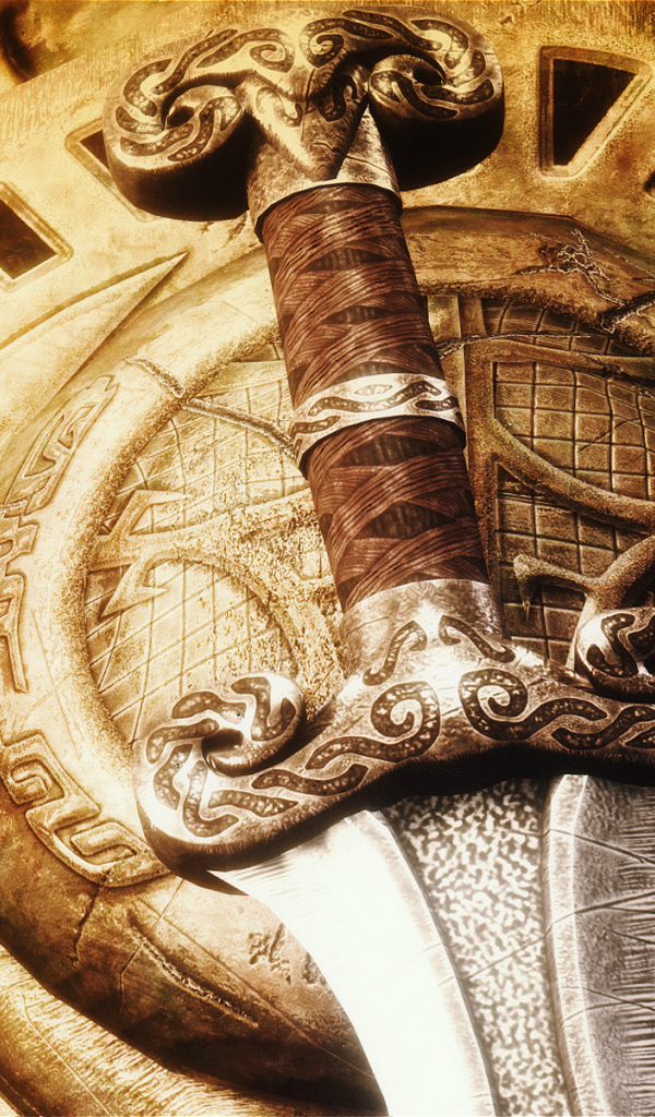 Щит и меч из игры