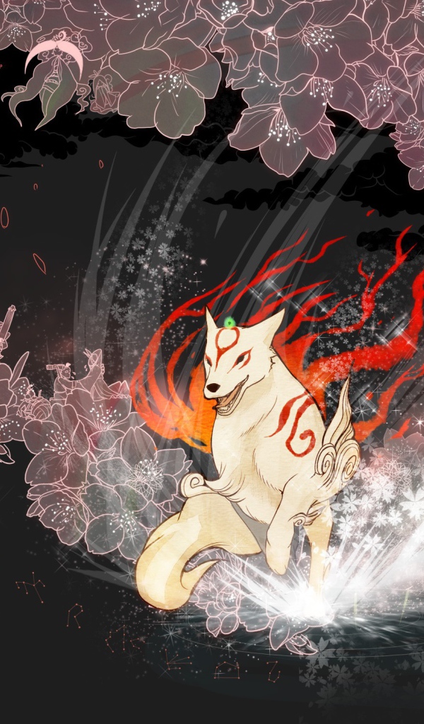 Видео игра Оками