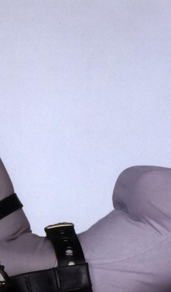 Знаменитая актриса Анджелина Джоли