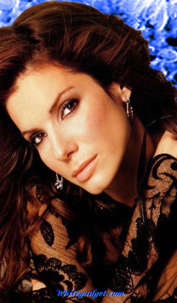 Популярная Сандра Баллок