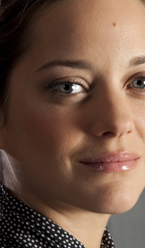 Известная звезда Марион Котийяр