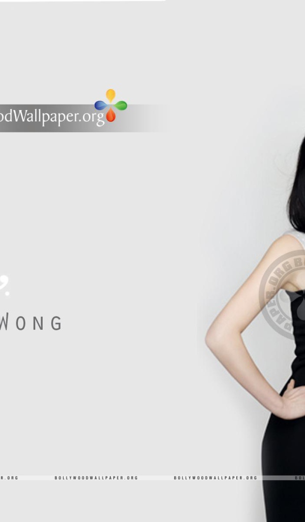 Известная модель Фэнн Вонг