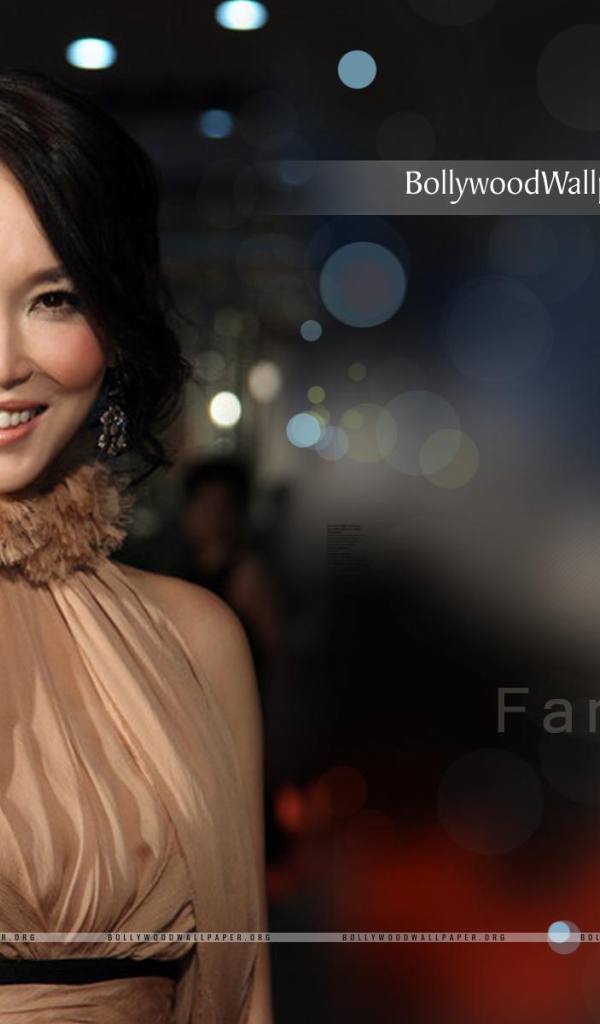 Популярная модель Фэнн Вонг