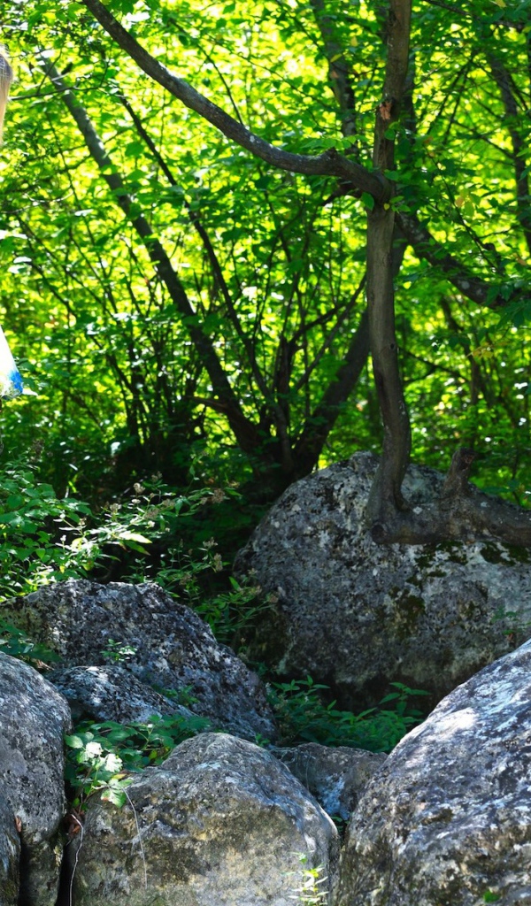 Блондинка на камне