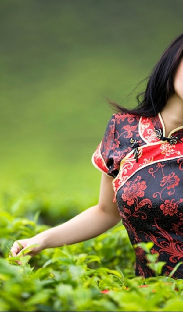 Девушка на чайной плантации