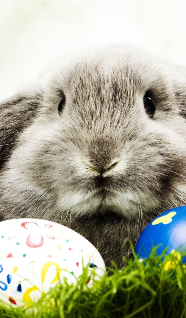 Кролик и пасхальные яйца