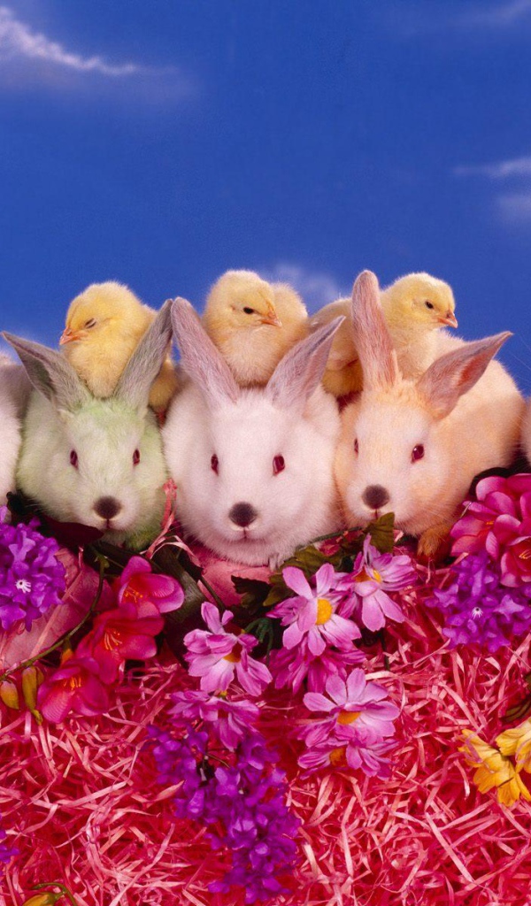 Цыплята и кролики на Пасху