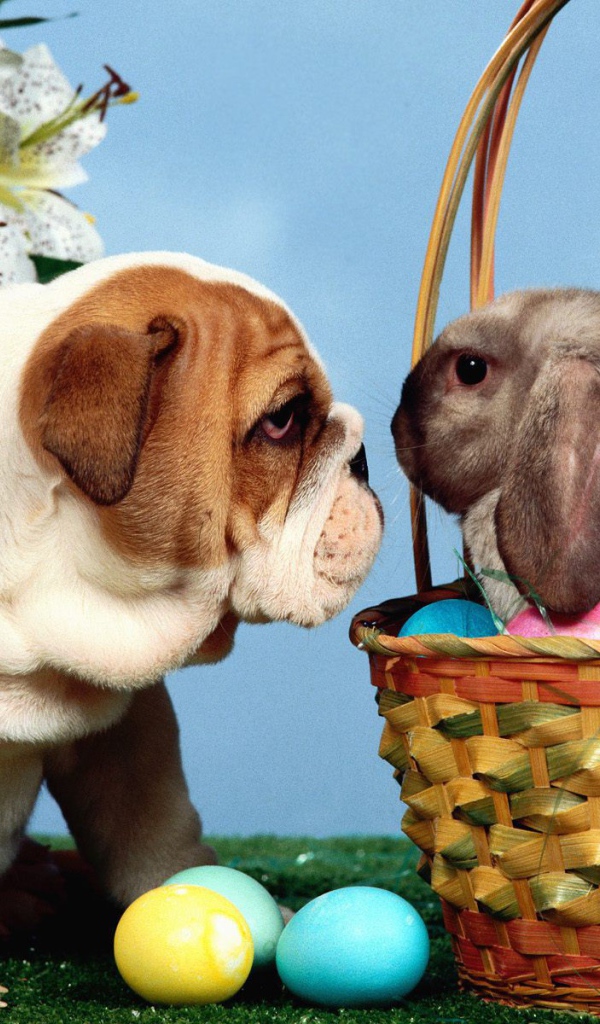 Собака и кролик на Пасху