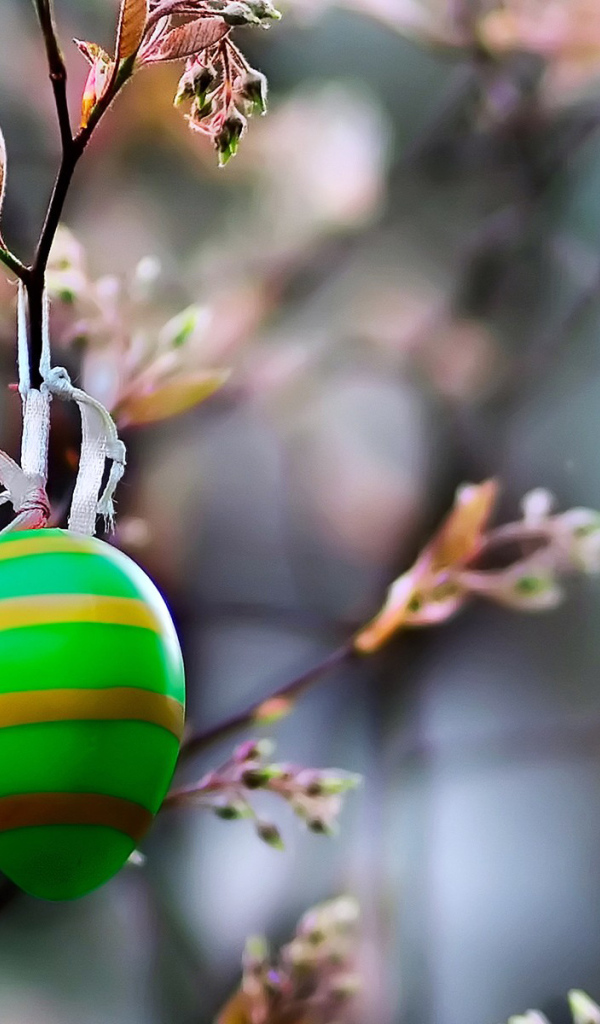Яйцо на ветке на Пасху
