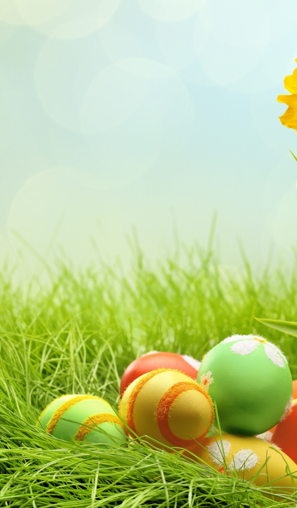 Яйца и желтый цветок на Пасху