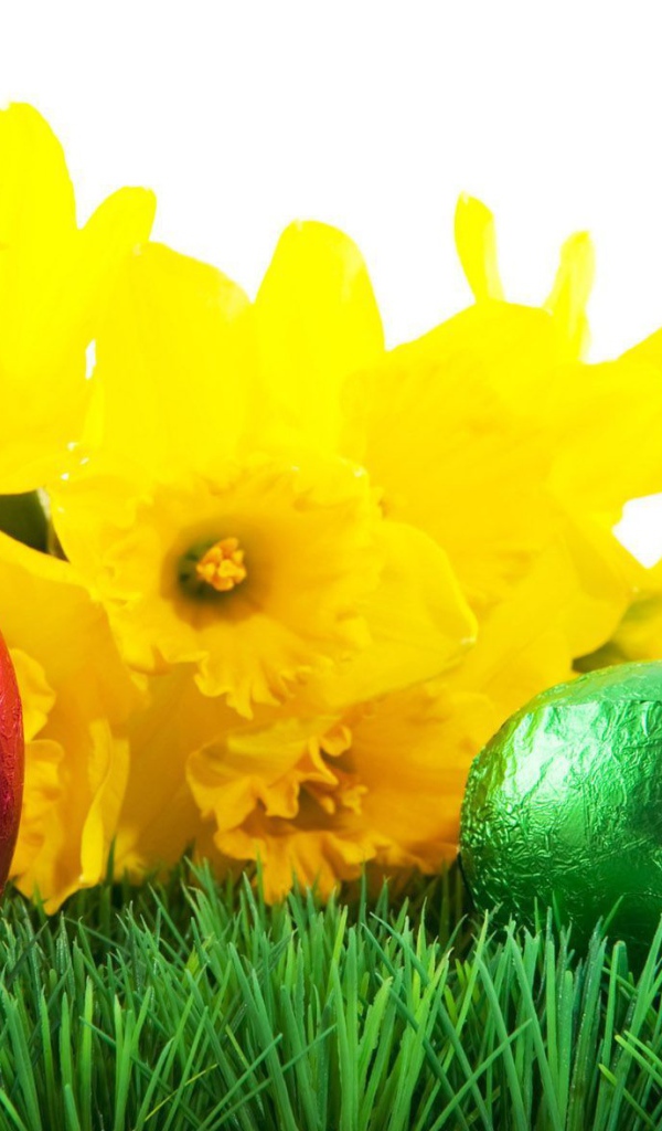 Яйца на фоне желтых цветов на Пасху
