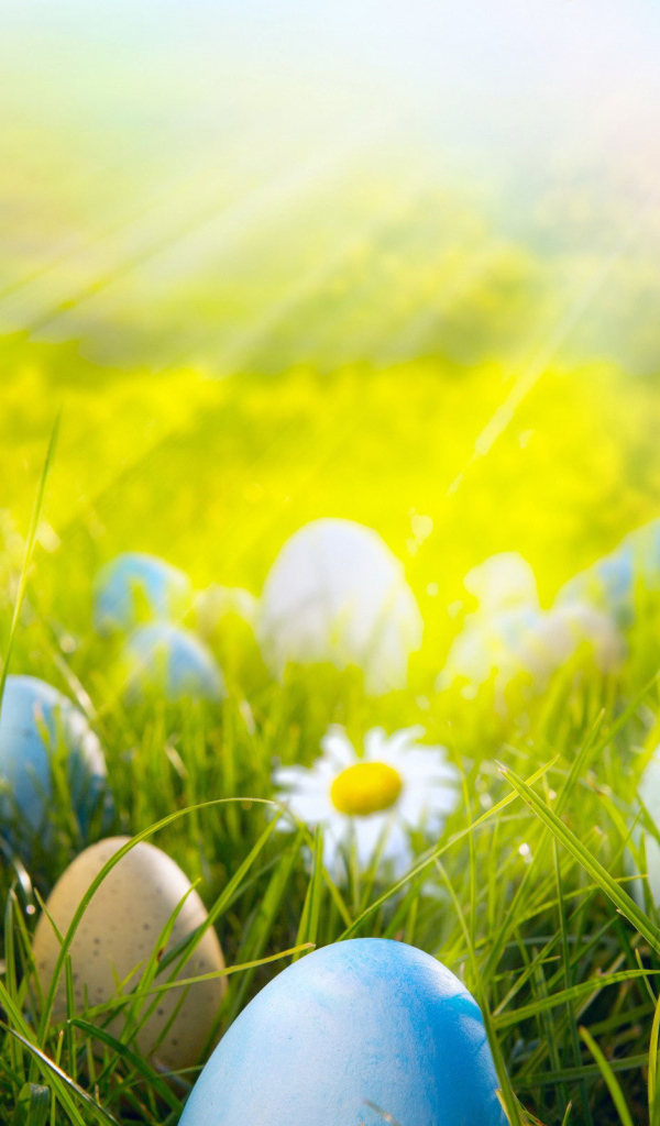 Яйца на лугу на Пасху