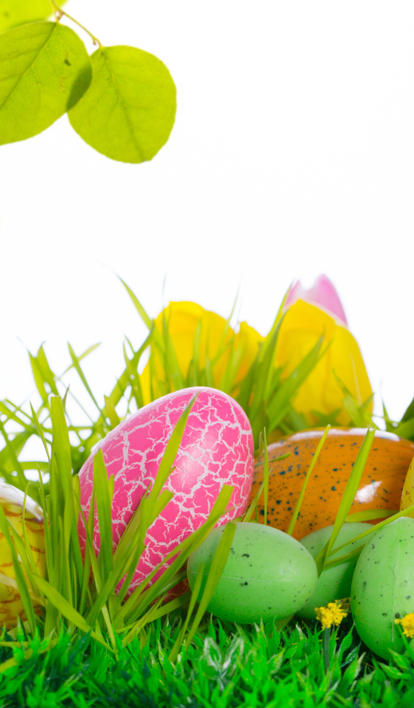 Весенняя зелень на Пасху