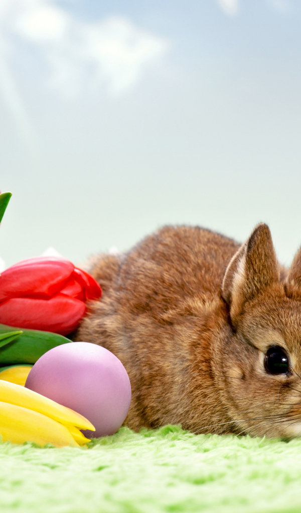 Букет тюльпанов и кролик на Пасху