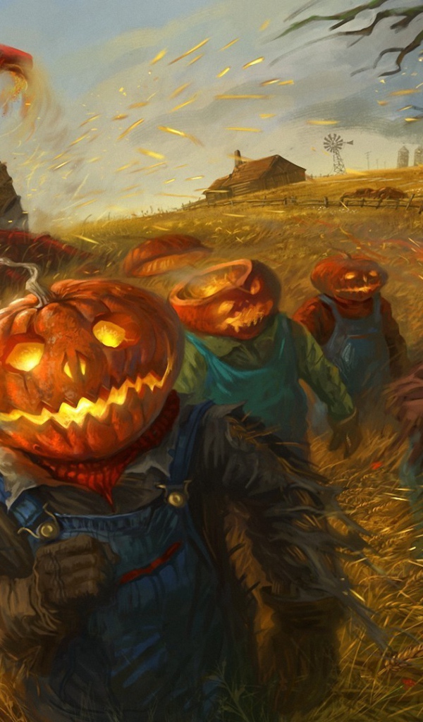 Тыквы убирают урожай