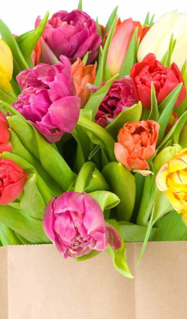 Красивый букет тюльпанов на восьмое марта