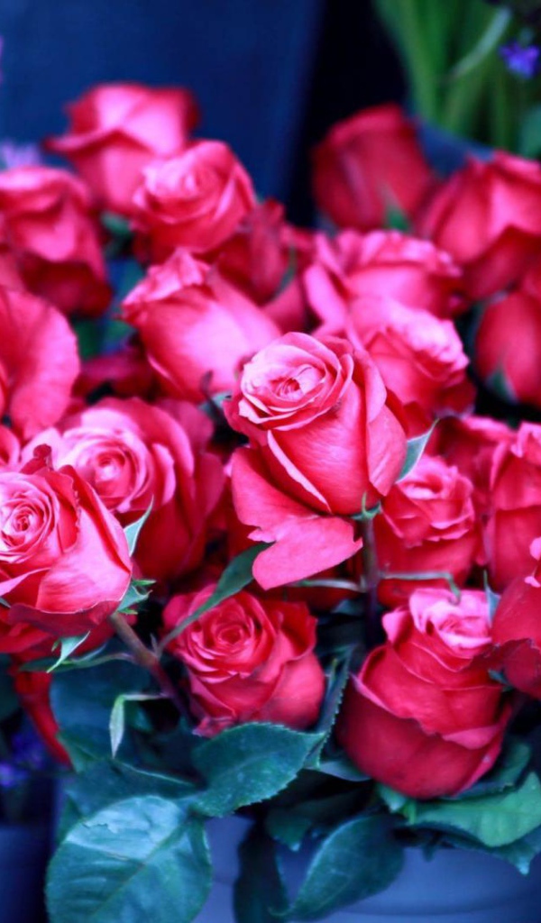 Красивые букеты из роз девушкам на восьмое марта