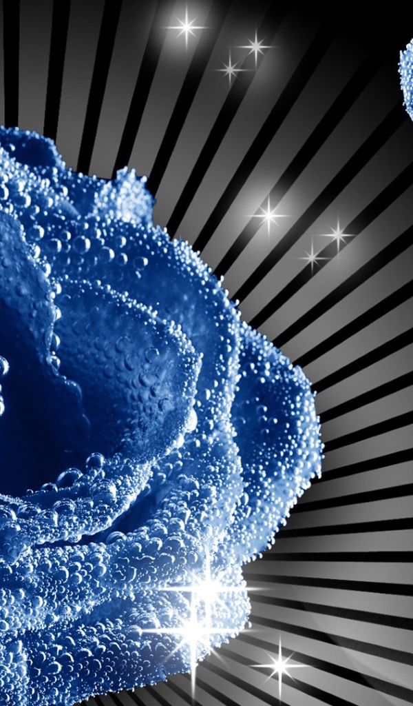 Синие роза и бабочка, картинка на восьмое марта