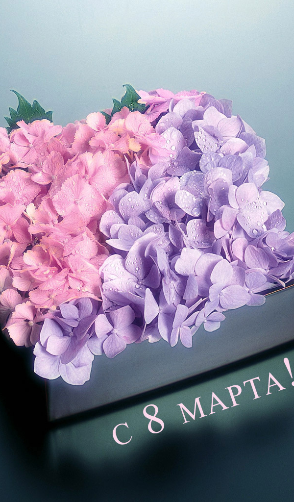 Коробка с цветами на 8 марта
