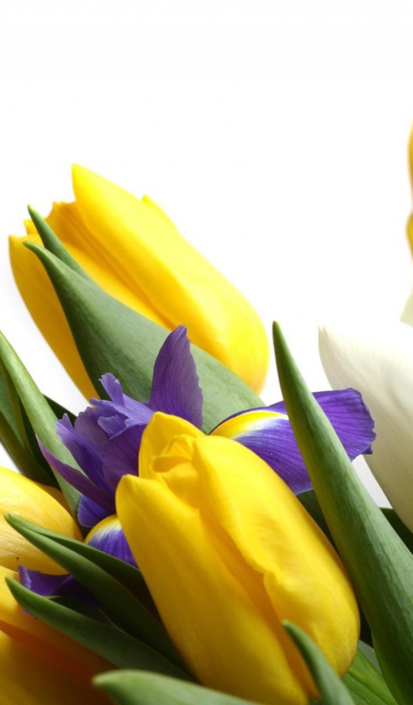 Цветы для девушки к 8 марта