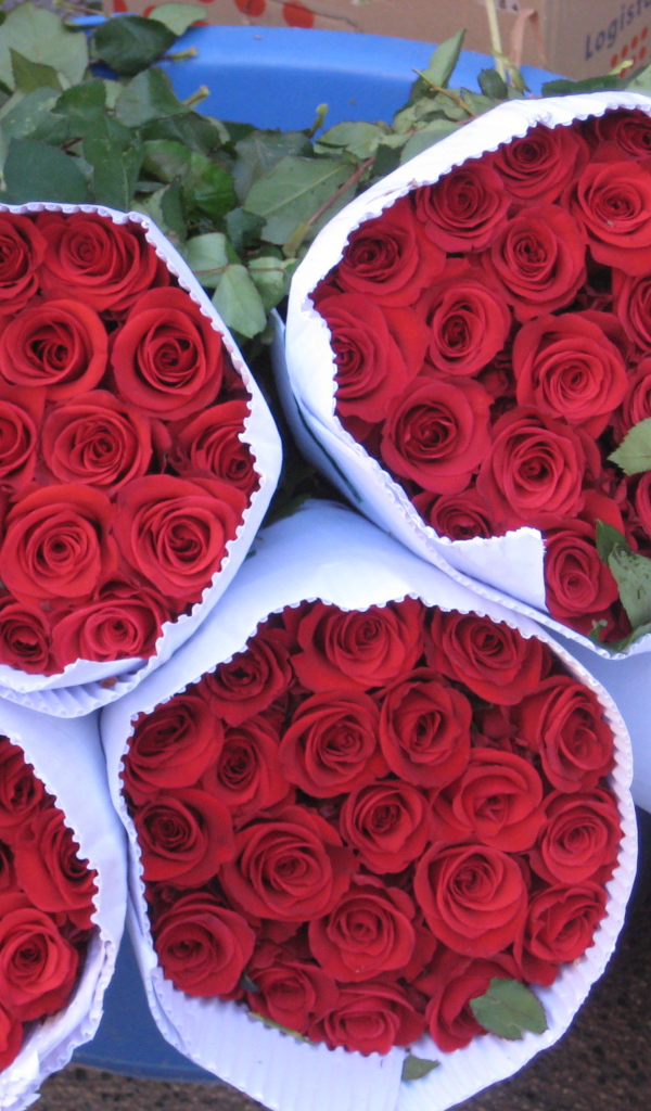 Роскошные букеты красных роз на 8 марта