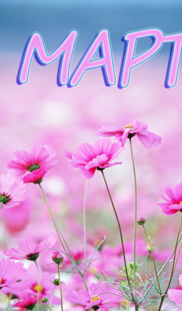 Луговые цветы на 8 марта